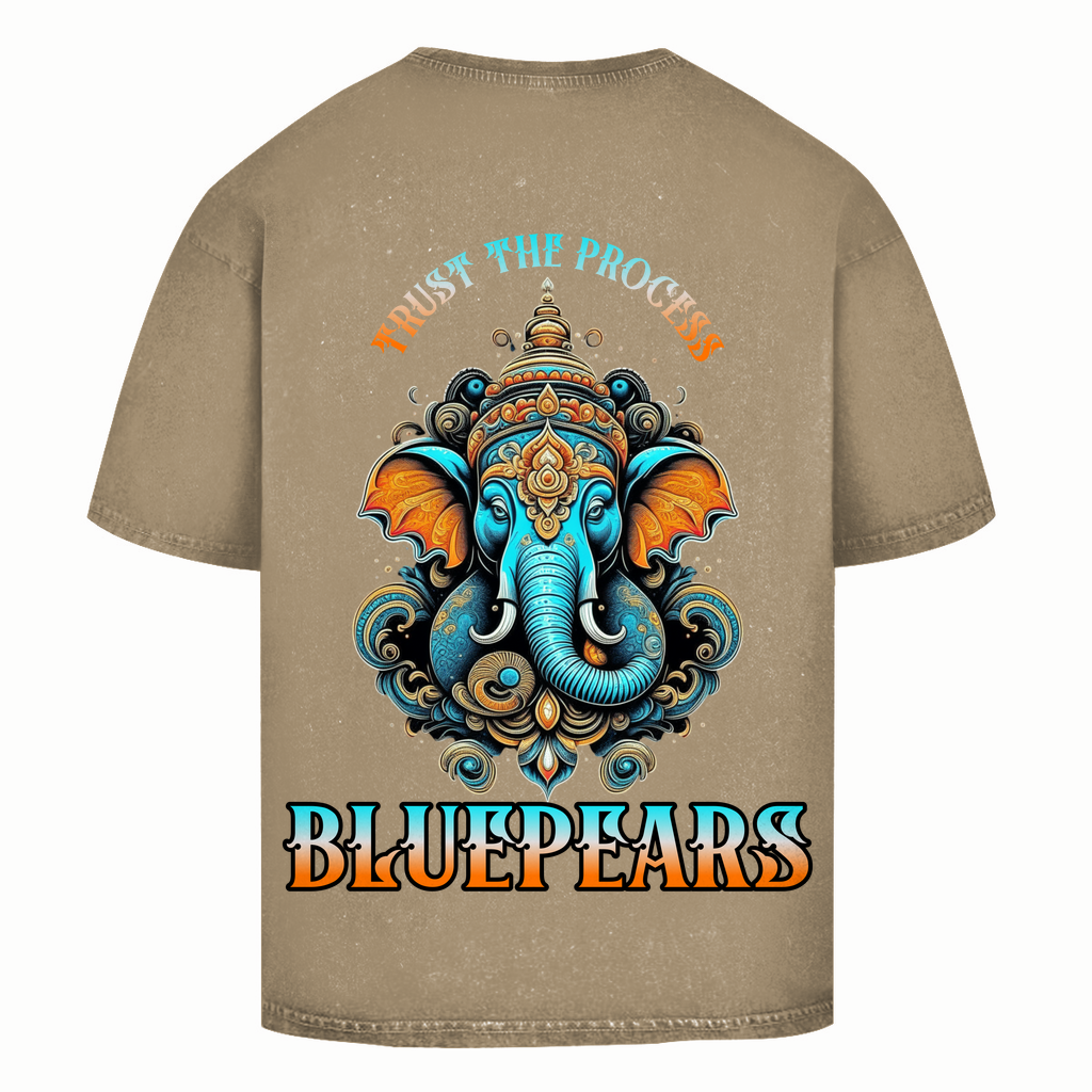 Trust the Process Washed T-Shirt BluePears
