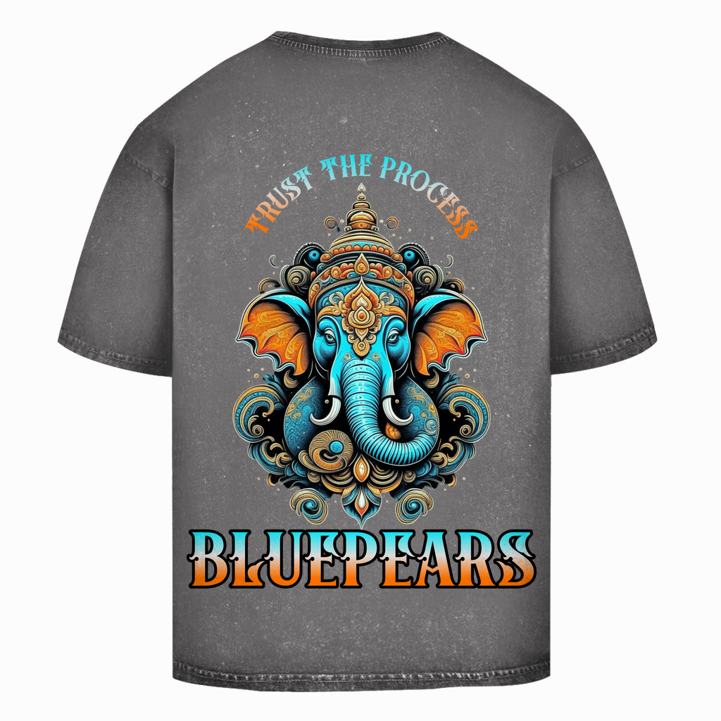 Trust the Process Washed T-Shirt BluePears