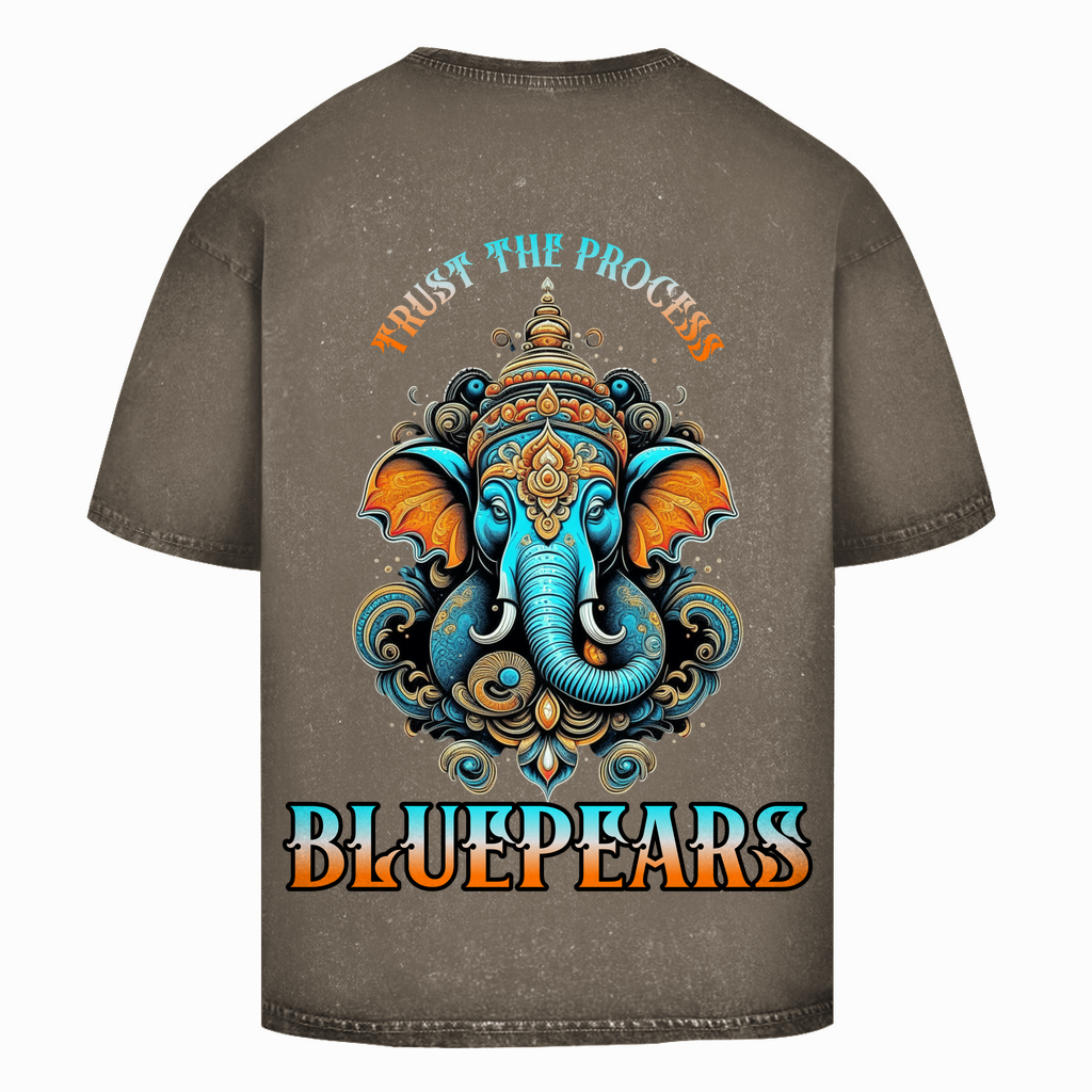 Trust the Process Washed T-Shirt BluePears